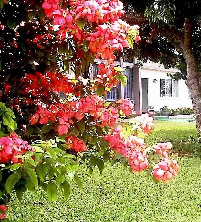 Country Home Villa Bed & Breakfast Μαντεβίλ 3*,